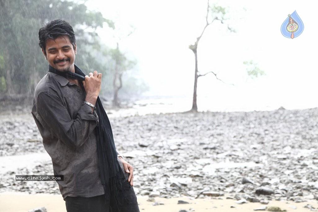 CineJosh gallery photo