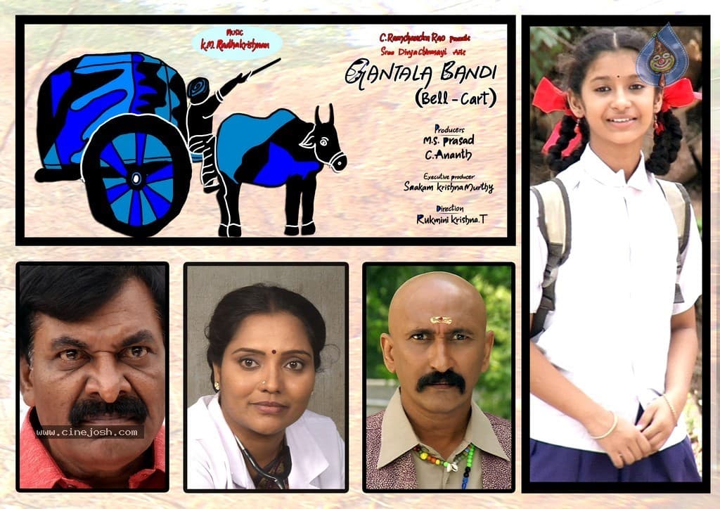 CineJosh gallery photo