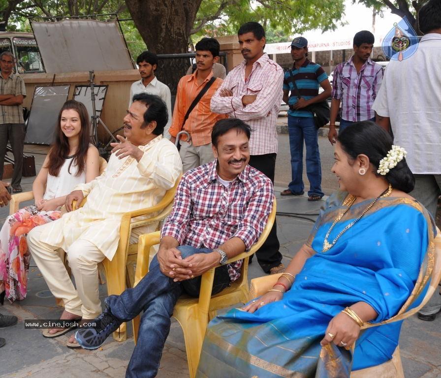 CineJosh gallery photo