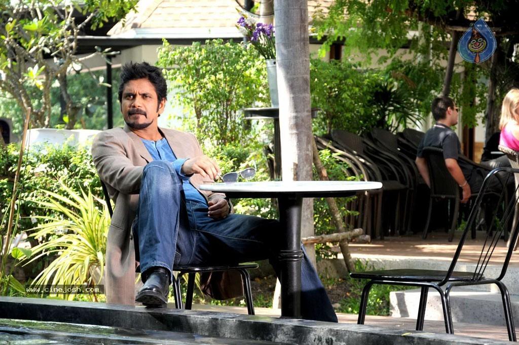 CineJosh gallery photo