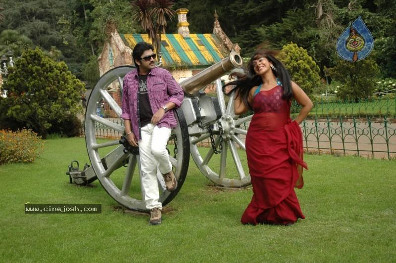 CineJosh gallery photo