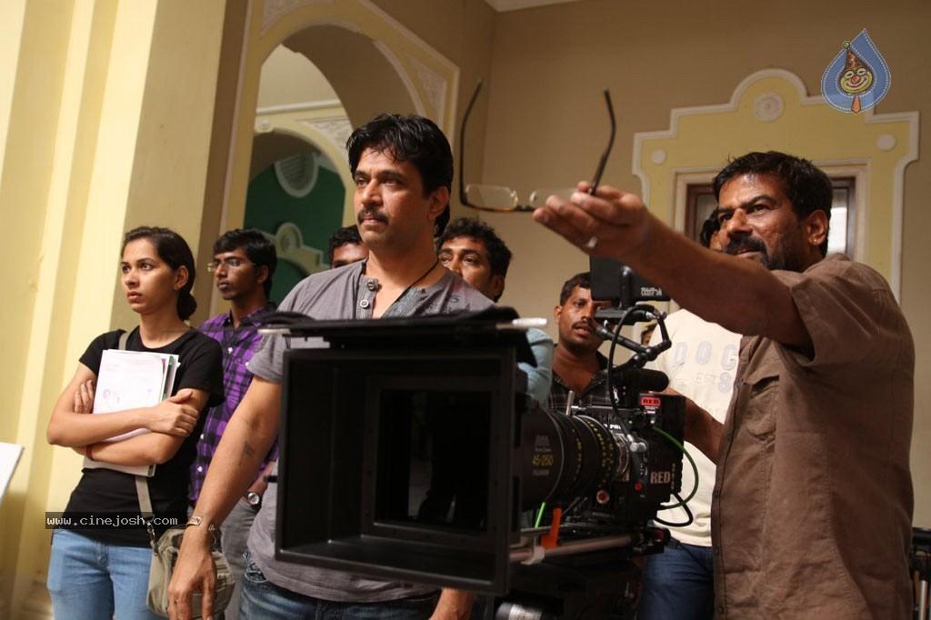 CineJosh gallery photo