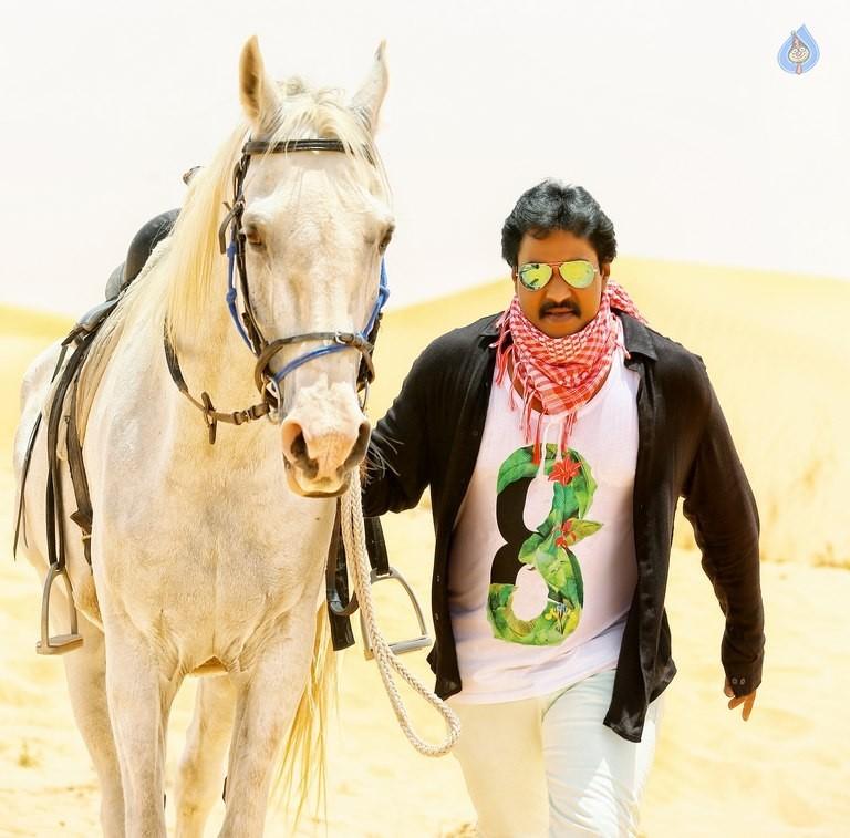 CineJosh gallery photo