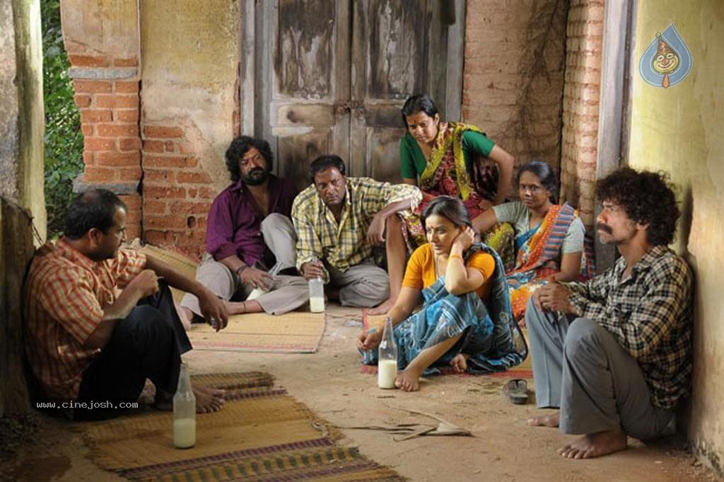 CineJosh gallery photo