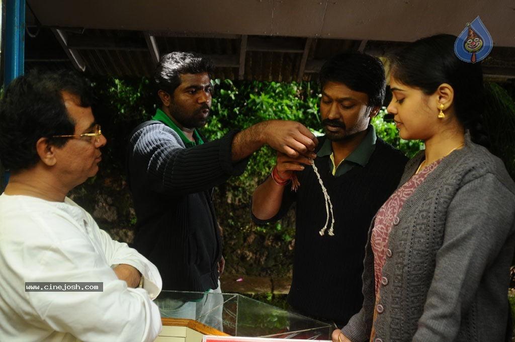 CineJosh gallery photo