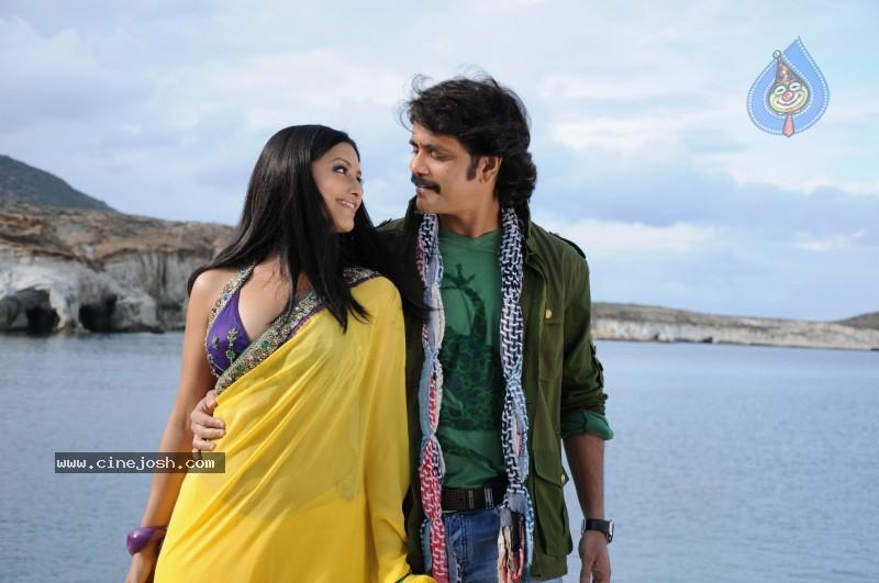 CineJosh gallery photo
