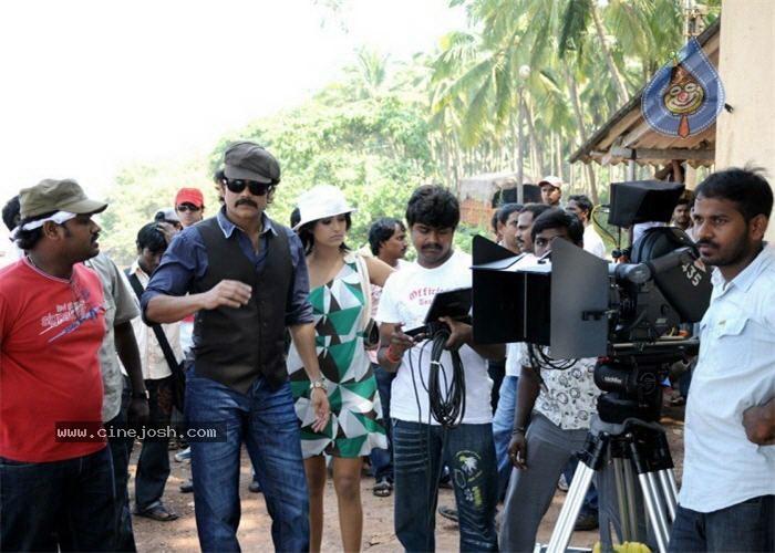 CineJosh gallery photo