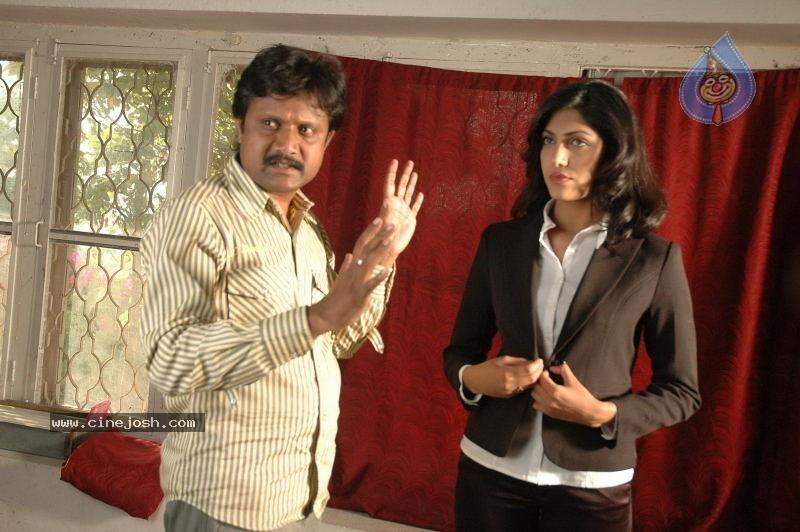 CineJosh gallery photo