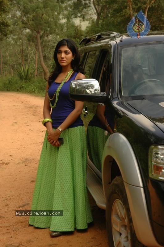 CineJosh gallery photo