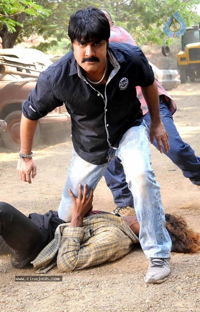 CineJosh gallery photo