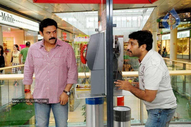 CineJosh gallery photo