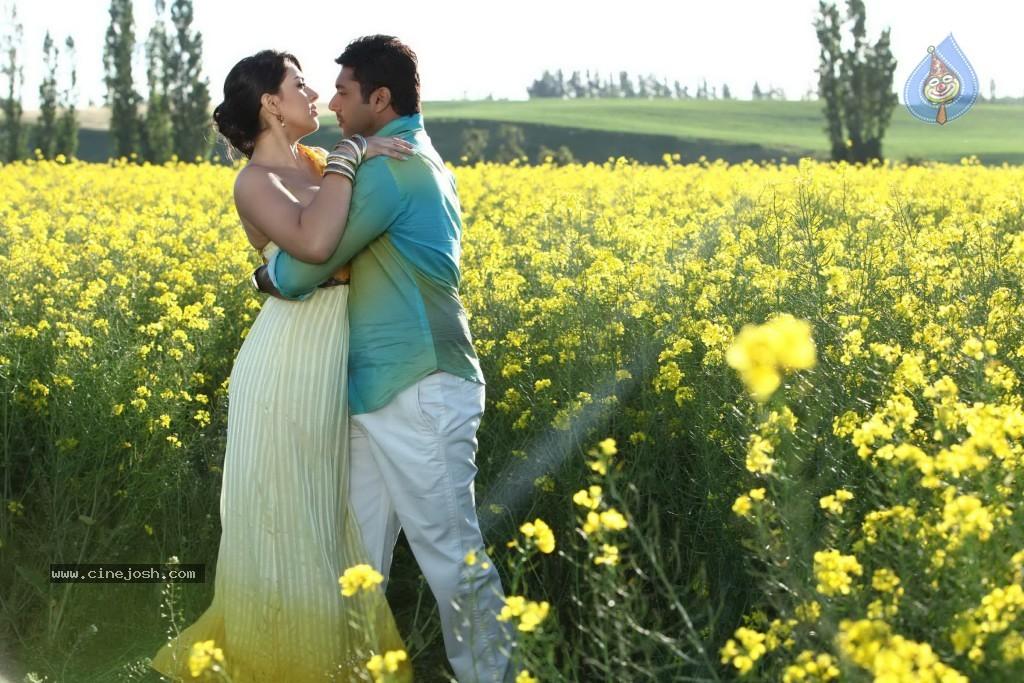 CineJosh gallery photo