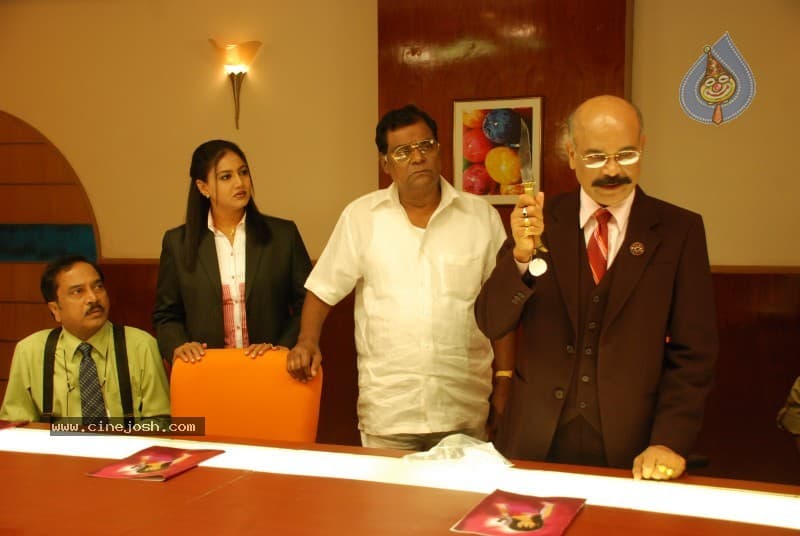 CineJosh gallery photo