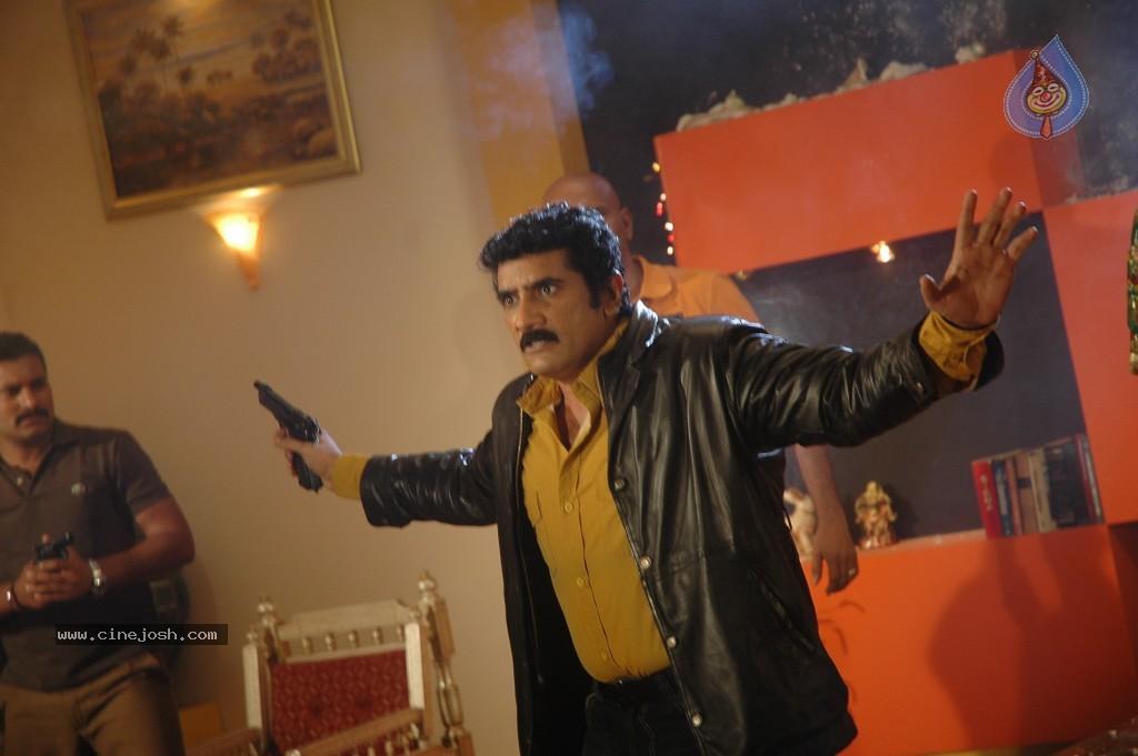 CineJosh gallery photo