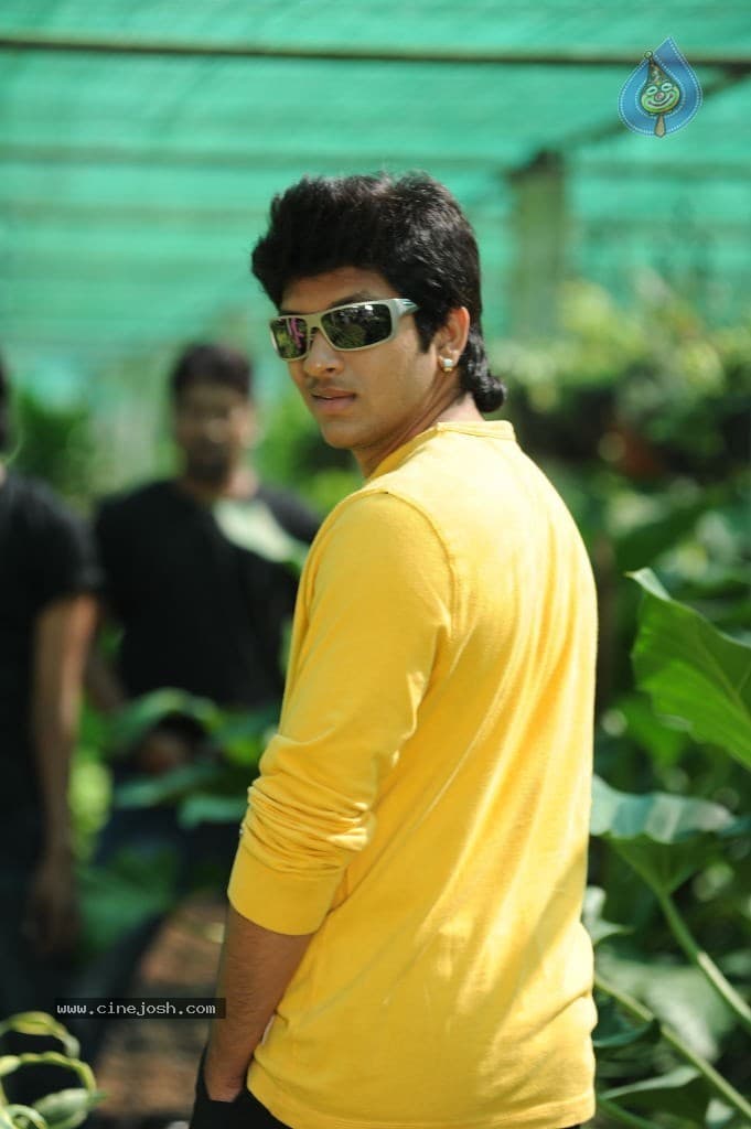 CineJosh gallery photo