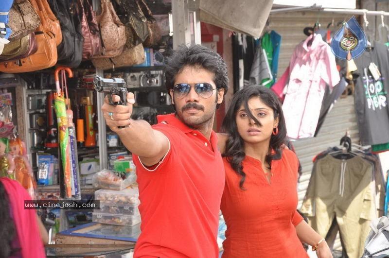 CineJosh gallery photo