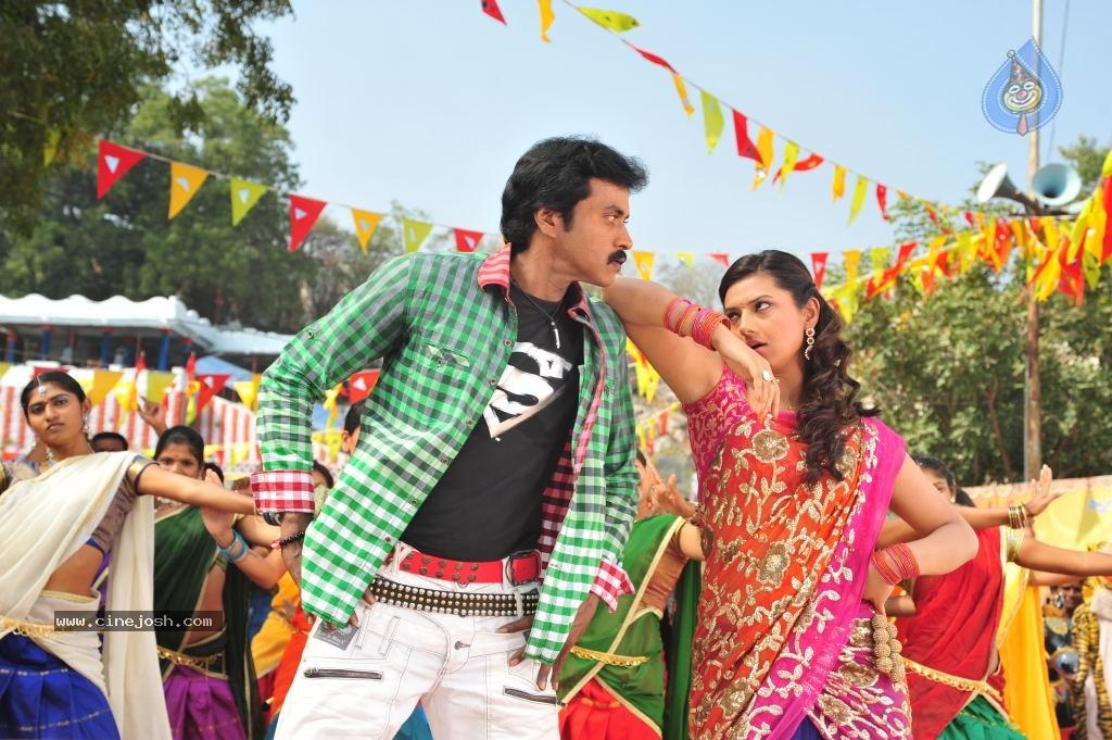 CineJosh gallery photo