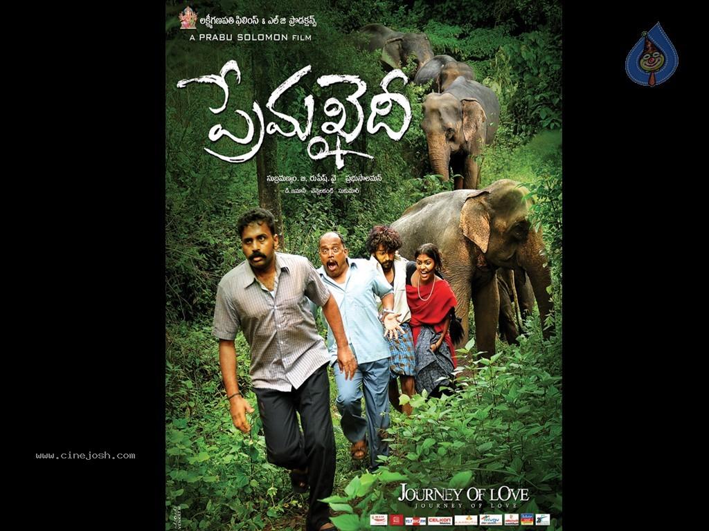 CineJosh gallery photo