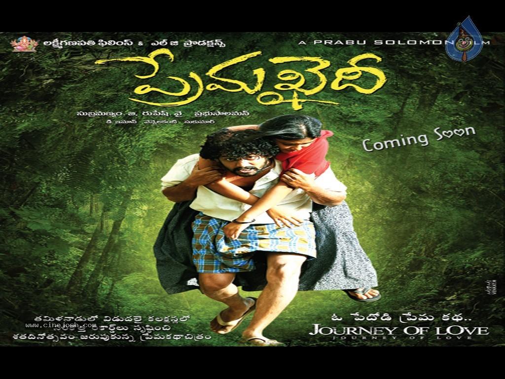 CineJosh gallery photo