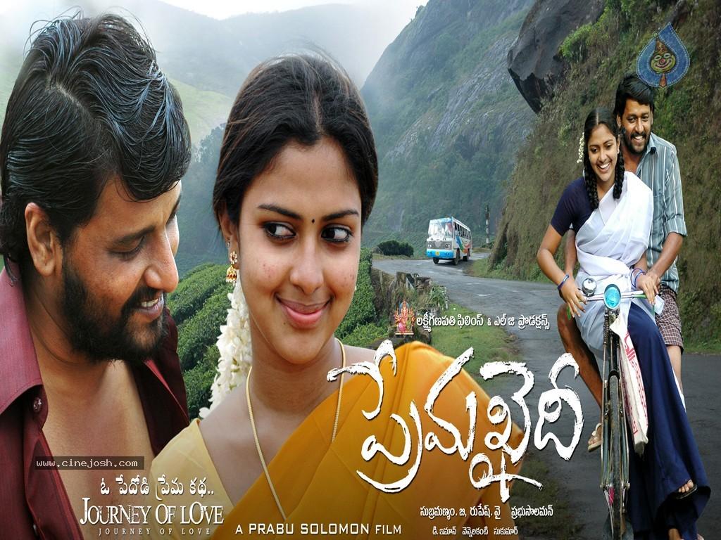 CineJosh gallery photo