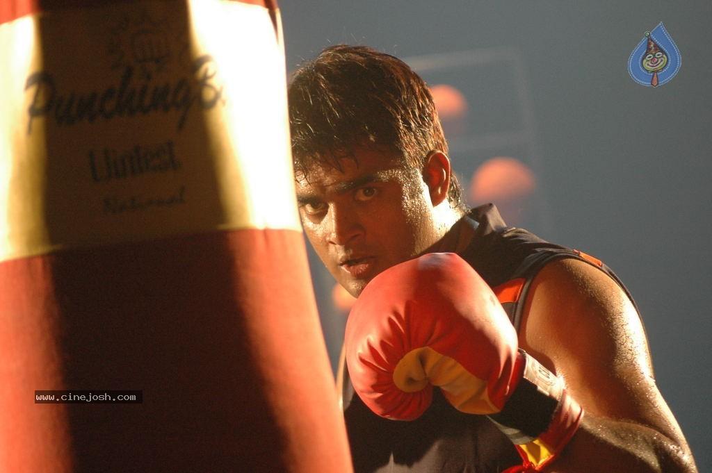 CineJosh gallery photo