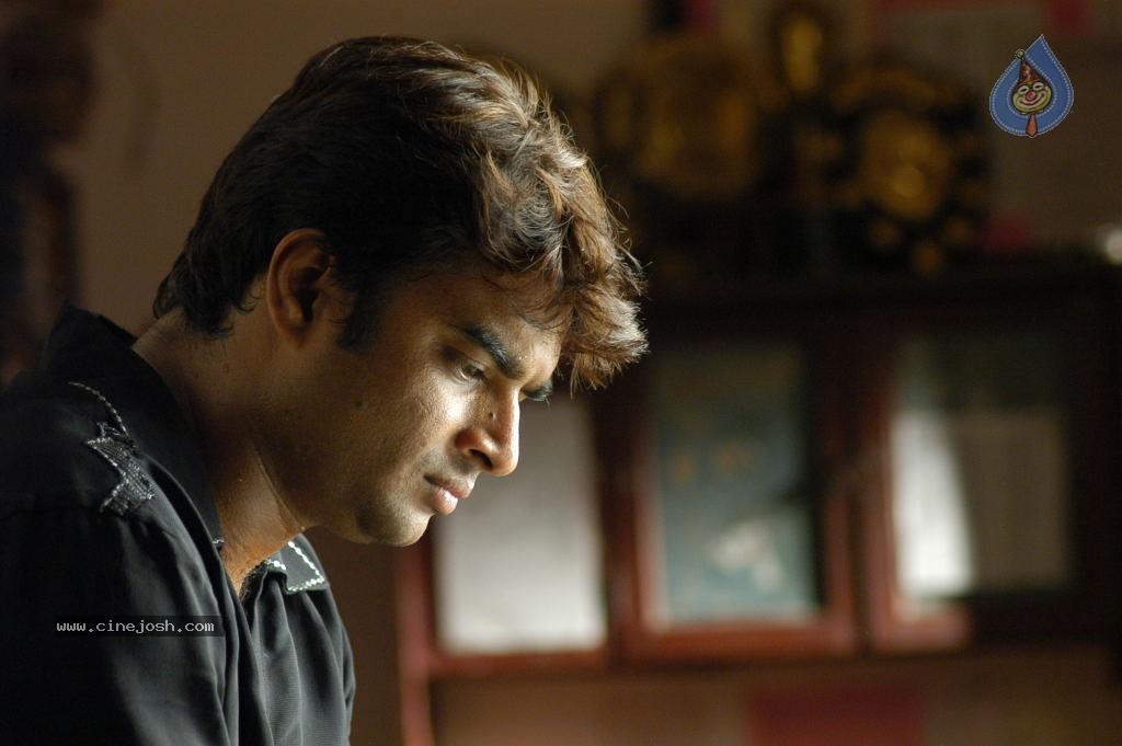 CineJosh gallery photo