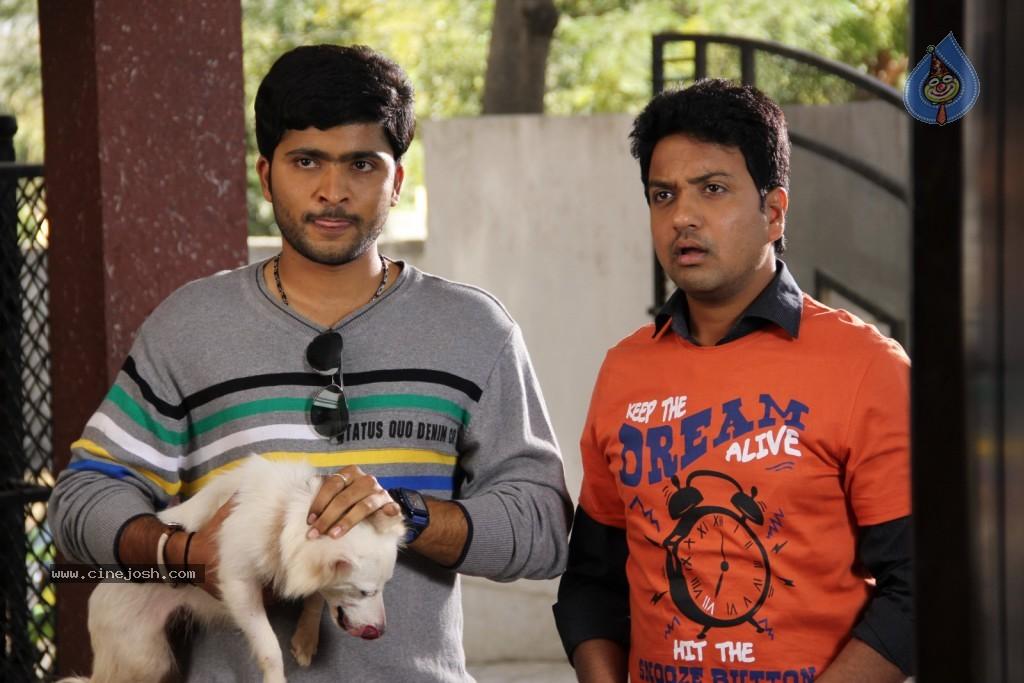 CineJosh gallery photo
