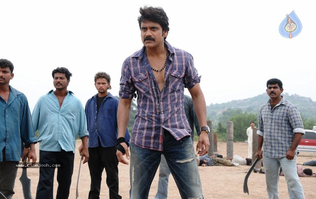 CineJosh gallery photo