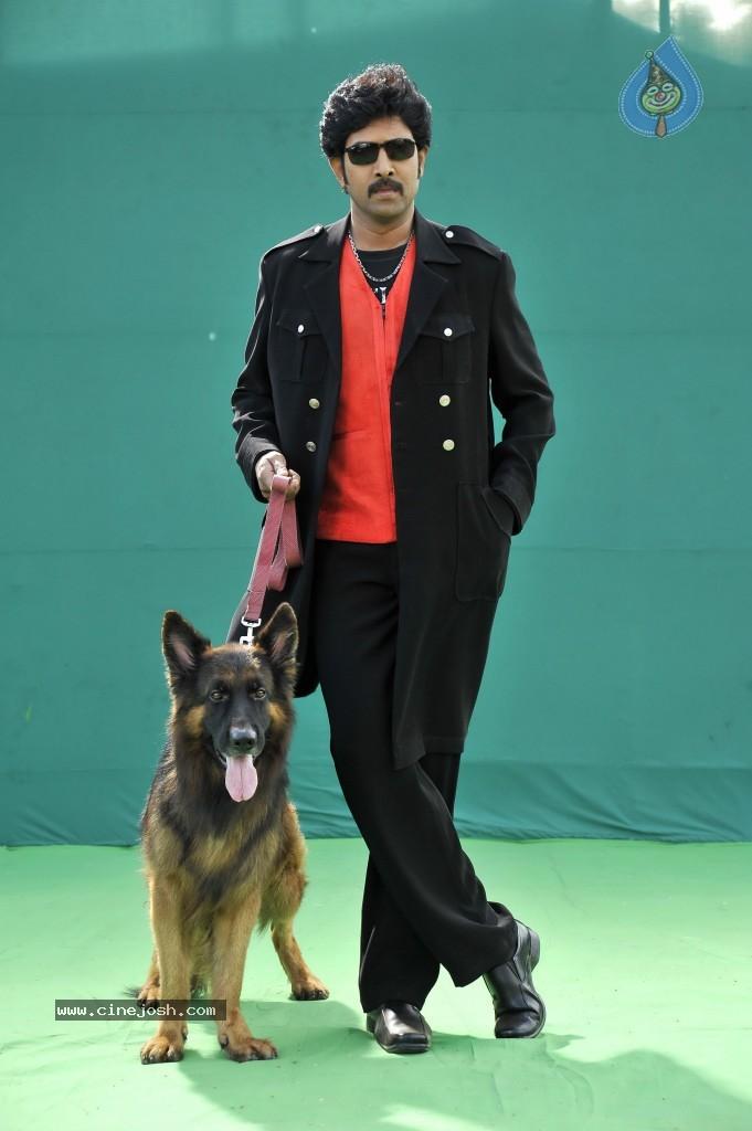 CineJosh gallery photo