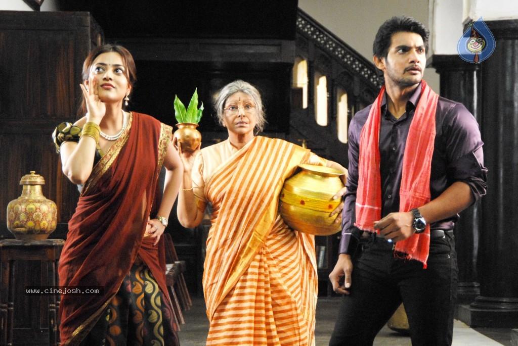 CineJosh gallery photo
