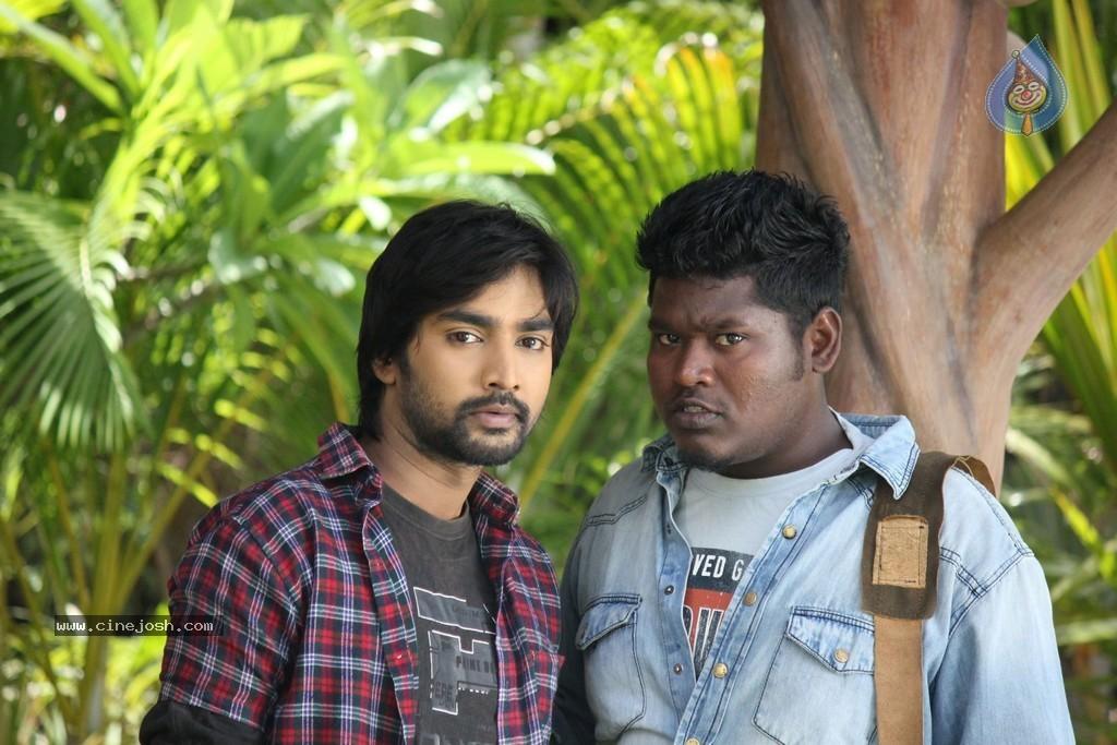 CineJosh gallery photo