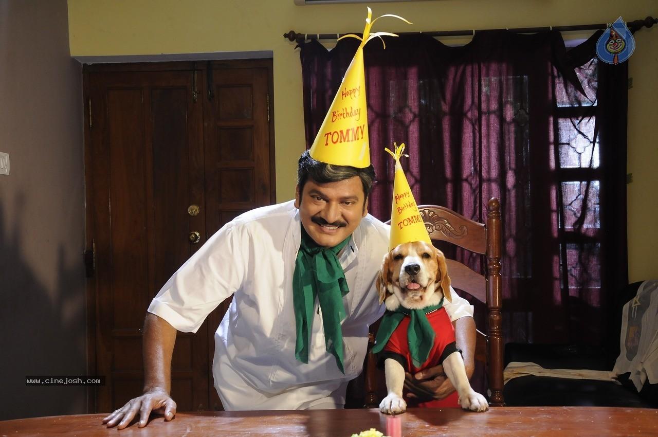 CineJosh gallery photo