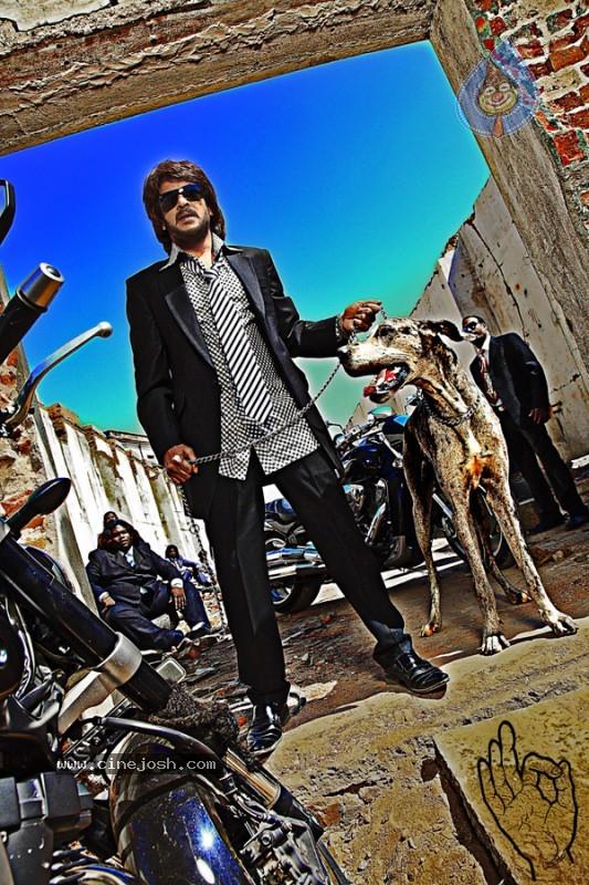CineJosh gallery photo