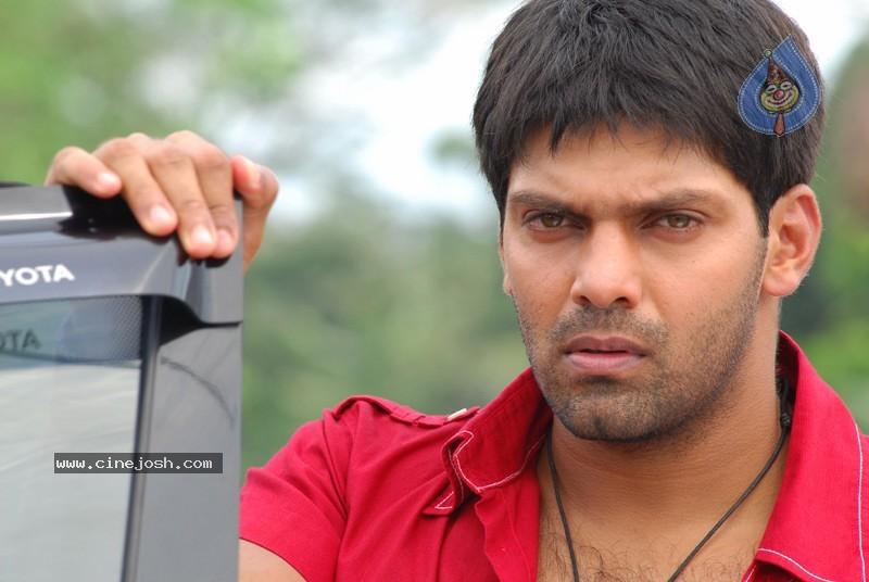 CineJosh gallery photo