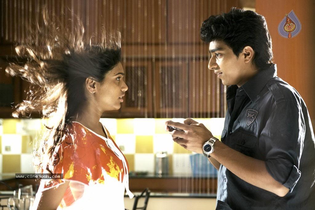 CineJosh gallery photo