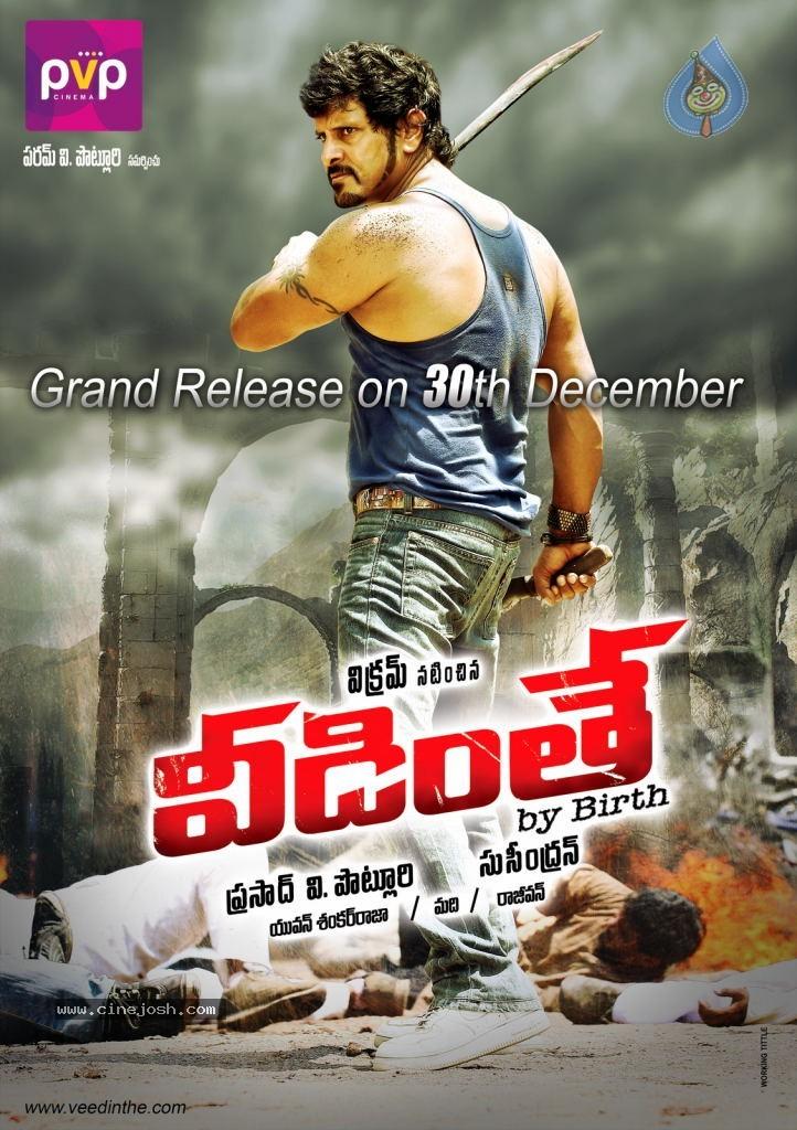 CineJosh gallery photo