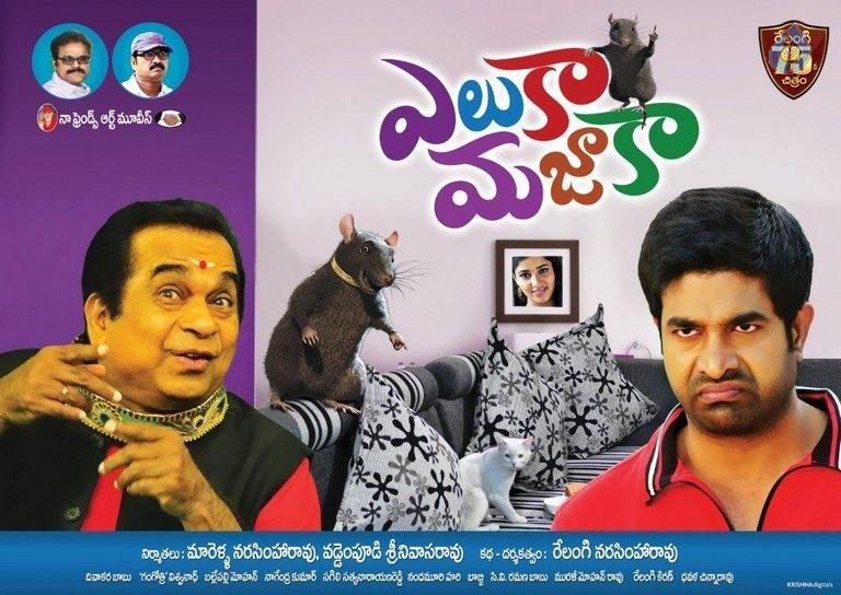 CineJosh gallery photo