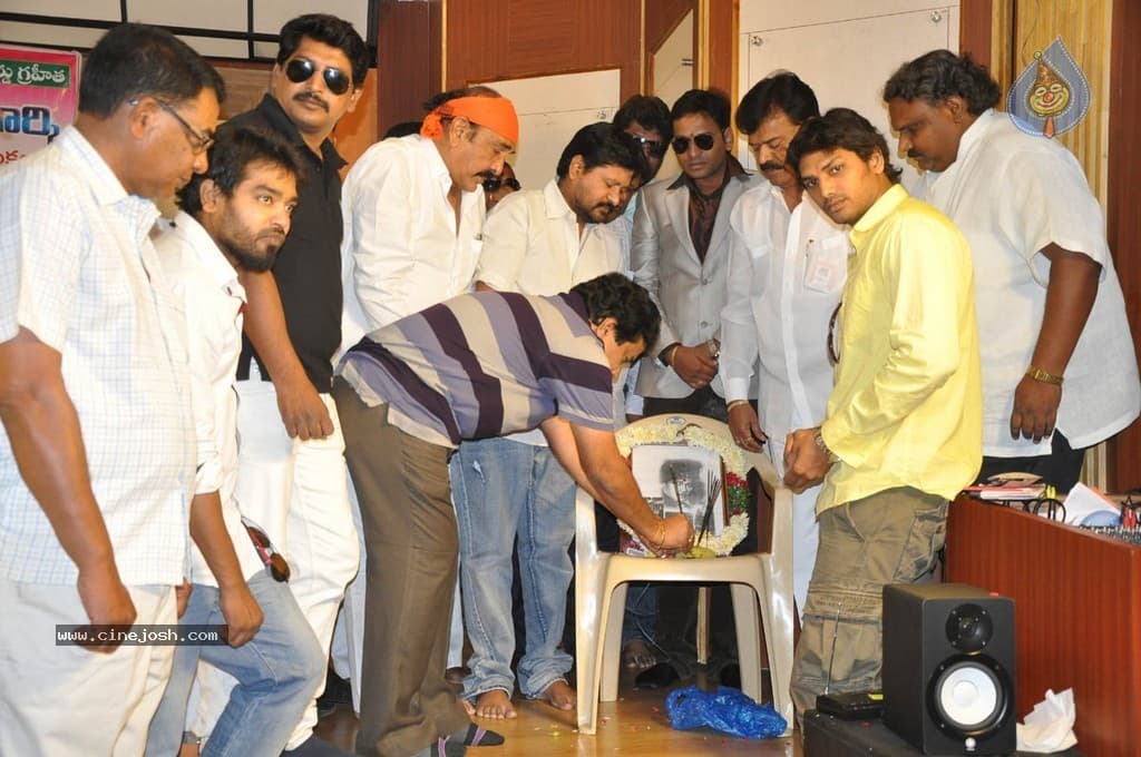 CineJosh gallery photo