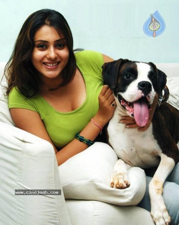 CineJosh gallery photo