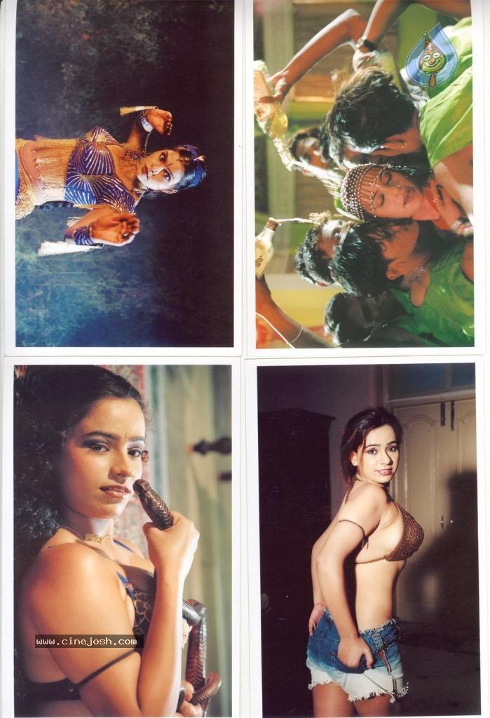 CineJosh gallery photo