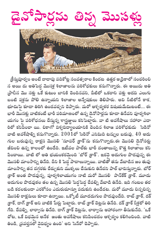 CineJosh news