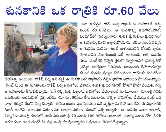 CineJosh news