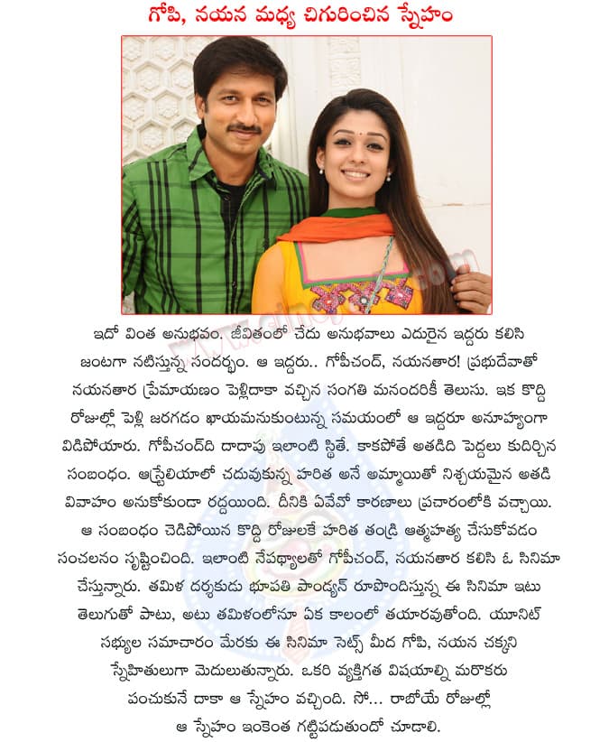 CineJosh news
