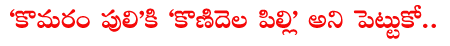CineJosh news