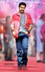 NTR Birthday Special Stills