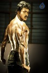 Sunil 6 Pack Photos