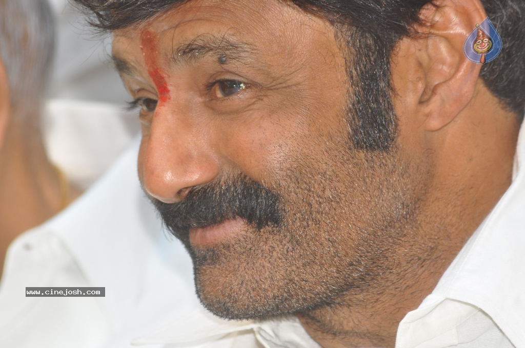 Balakrishna Latest Photos - 52 / 66 photos