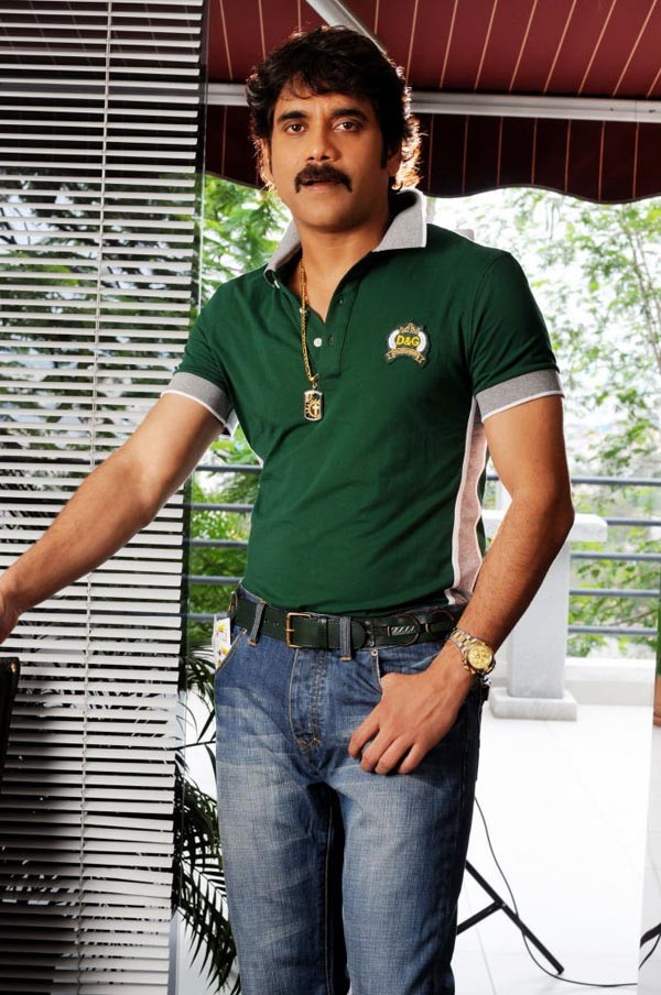Nagarjuna - Akkineni - 15 / 27 photos
