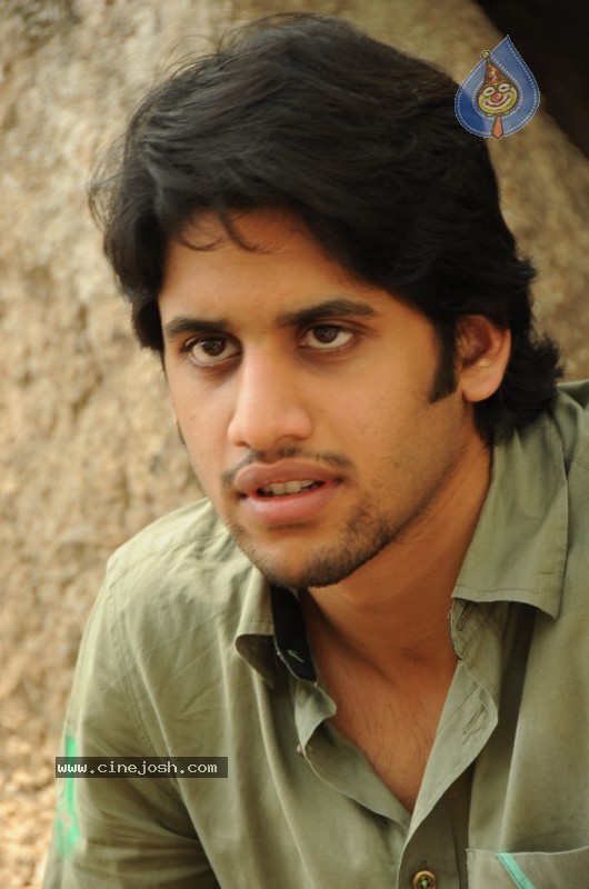 Naga Chaitanya Gallery - 17 / 32 photos