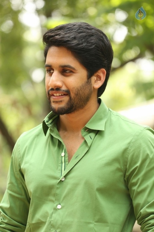 Naga Chaitanya Interview Photos - 1 / 31 photos